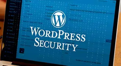 WordPress Services.